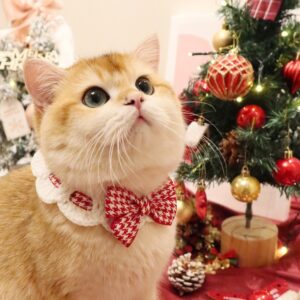 Fashionable cat drool scarf, dog scarf, pet scarf collar, knitted yarn