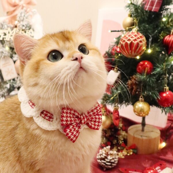 Fashionable cat drool scarf, dog scarf, pet scarf collar, knitted yarn